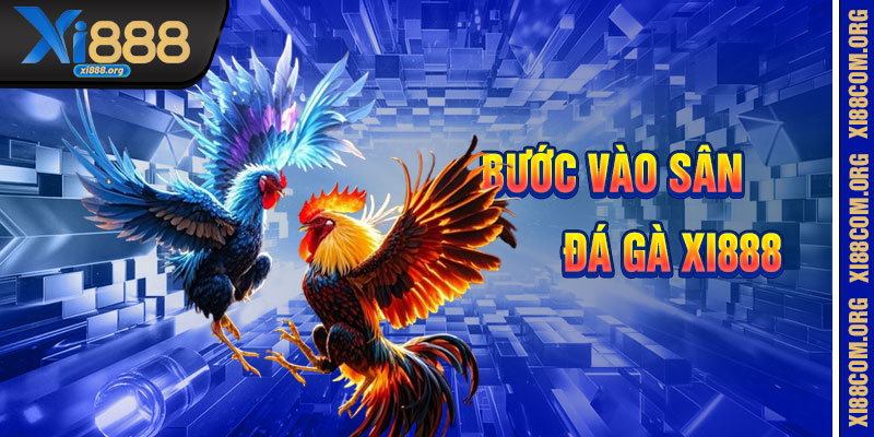 Đá Gà Xi888 – Sân Chơi Của Những Cú Đá Huyền Thoại